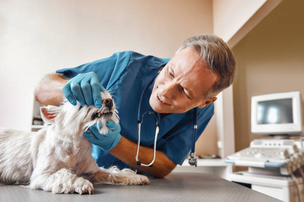 Best Tooth Infection Emergency Dentist  in Orland Hls, IL